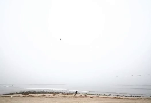 IMG_00299~1.png