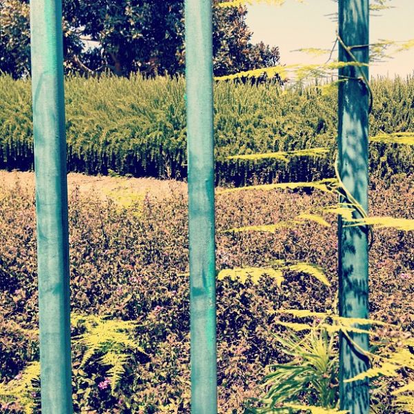 InstagramTroian-00226.jpg