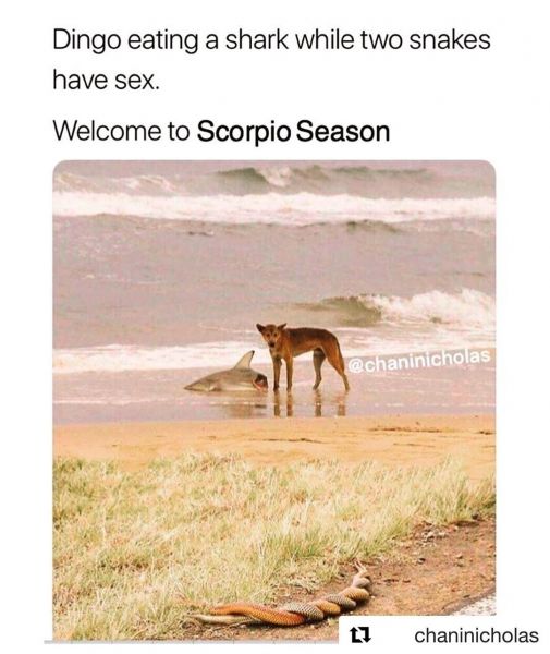 InstagramTroian-004072.jpg