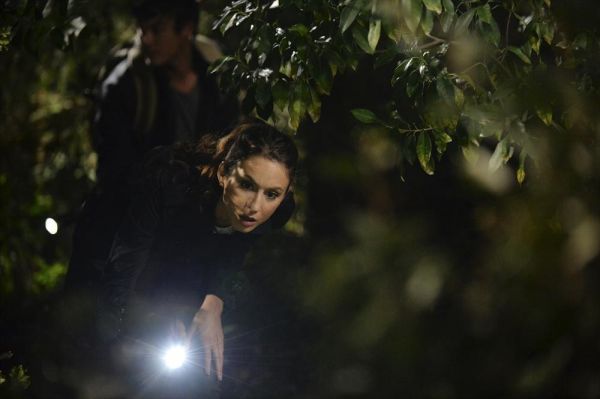 PLL5X15-001.jpg