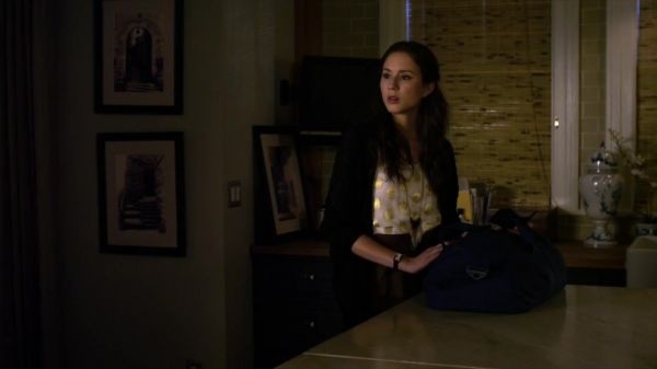 Pretty_Little_Liars_S02x23_720p_Bluray_Dual_PauloADM_1767.jpg