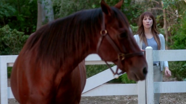 Pretty_Little_Liars_S07E20E21_WEB-DL_720p_DUAL_WWW_COMANDOTORRENTS_COM_3988.jpg