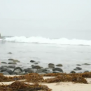 IMG_00287~0.png