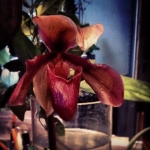 Filename=InstagramTroian-001293.jpg
Filesize=80KiB
Dimensions=640x640
Date added=Jun 15, 2014 InstagramTroian-001293.jpg