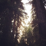 InstagramTroian-001719.jpg