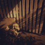 InstagramTroian-001750.jpg