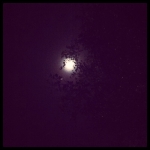 InstagramTroian-0020.jpg