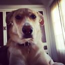 InstagramTroian-002413.jpg