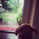 InstagramTroian-002454.jpg