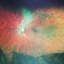 InstagramTroian-002460.jpg