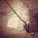 InstagramTroian-002556.jpg