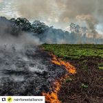 InstagramTroian-004046.jpg
