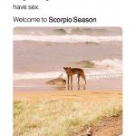 InstagramTroian-004072.jpg