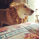 InstagramTroian-004082.jpg