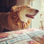 InstagramTroian-004083.jpg