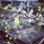 InstagramTroian-004107.jpg