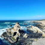 InstagramTroian-004212.jpg