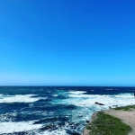 InstagramTroian-004215.jpg