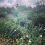 InstagramTroian-004319.jpg