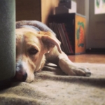 InstagramTroian-004346.jpg