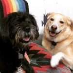 InstagramTroian-004352.jpg