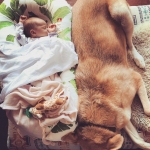 InstagramTroian-004359.jpg