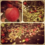 InstagramTroian-00436.jpg