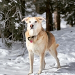 InstagramTroian-004367.jpg