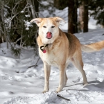 InstagramTroian-004368.jpg