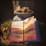 InstagramTroian-00731.jpg