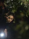 PLL5X15-001.jpg