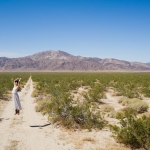 PatrickJAdams-06.jpg
