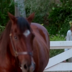 Pretty_Little_Liars_S07E20E21_WEB-DL_720p_DUAL_WWW_COMANDOTORRENTS_COM_3986.jpg