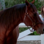 Pretty_Little_Liars_S07E20E21_WEB-DL_720p_DUAL_WWW_COMANDOTORRENTS_COM_3988.jpg