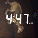 snapchatroian-0034.jpg