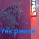 snapchatroian-0046.jpg