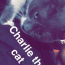 snapchatroian-0127.jpg