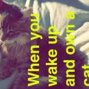 snapchatroian-0130.jpg