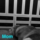 snapchatroian-0257.jpg