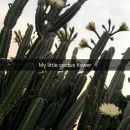 snapchatroian-0269.jpg