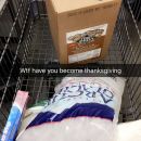 snapchatroian-0350.jpg