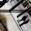 snapchatroian-0360.jpg
