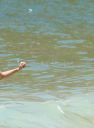 troianrio140217-019.jpg