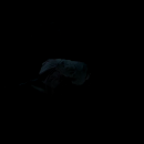 vlcsnap-2017-05-29-09h08m38s550.png